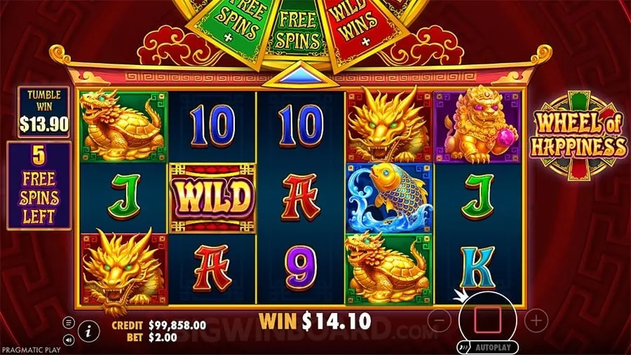 Live Betting Thrills